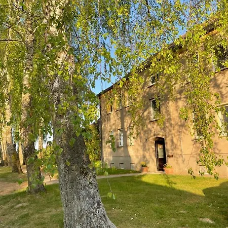 Ab Ins Gruene - In Daire *