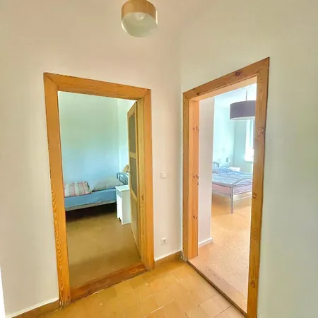Ab Ins Gruene - In Daire